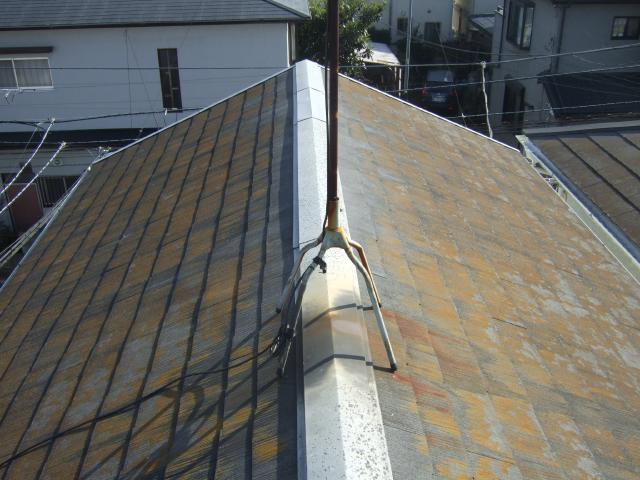 屋根　コケ