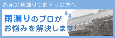雨漏りでお困りの方へ